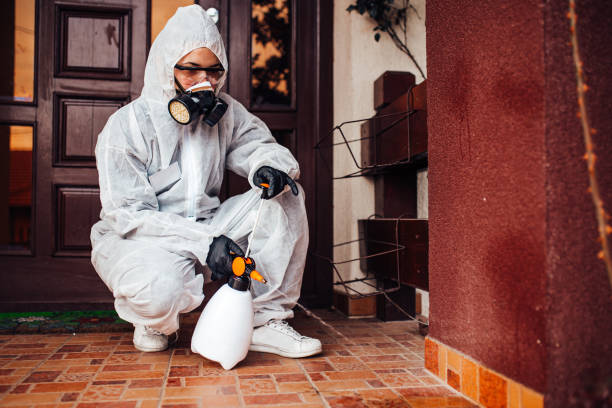 Reliable Wasp Removal contractor in Palermo, NJ by Show Me Pest Control